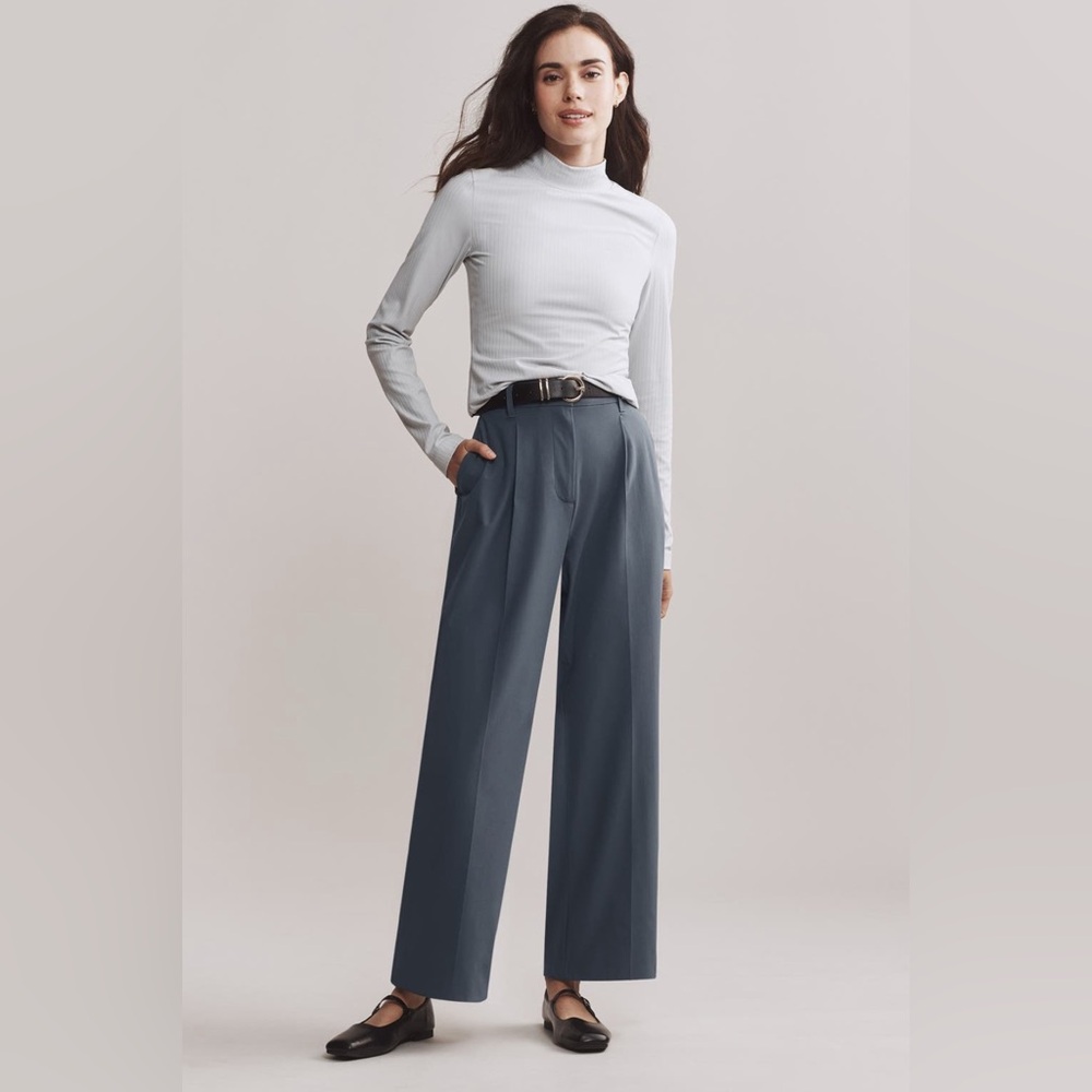 NWT Rhône Commuter Elegant Gray pleated  Wide-Leg Pants Size 4